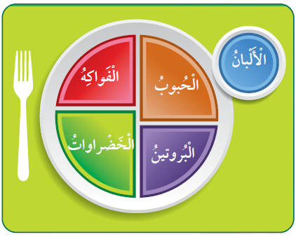 الغذاء المتوازن